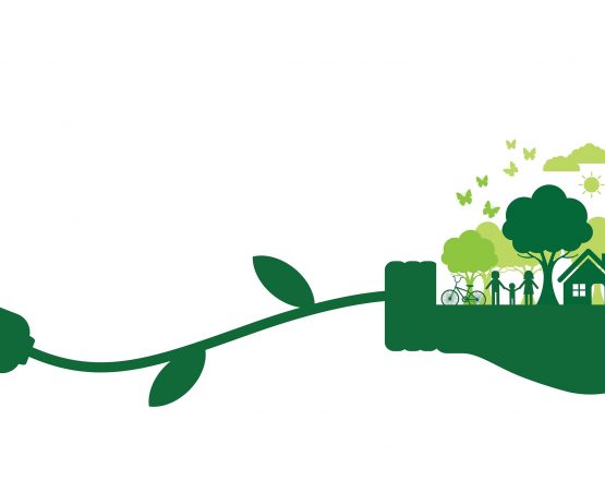 Going Green Even When You Don't Have A Lot Of Green