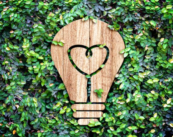 Seniors Can Help Save The Earth With Simple Green Energy Tips