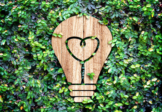 Seniors Can Help Save The Earth With Simple Green Energy Tips